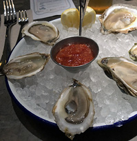 Canal Street Oysters